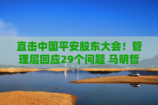 直击中国平安股东大会！管理层回应29个问题 马明哲发声！