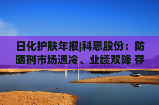 日化护肤年报|科思股份：防晒剂市场遇冷、业绩双降 存货规模激增周转效率下降  第1张