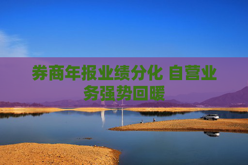 券商年报业绩分化 自营业务强势回暖