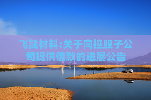 飞凯材料:关于向控股子公司提供借款的进展公告