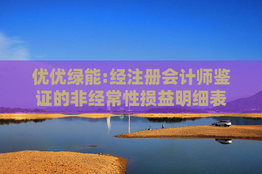 优优绿能:经注册会计师鉴证的非经常性损益明细表