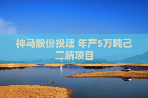 神马股份投建 年产5万吨己二腈项目
