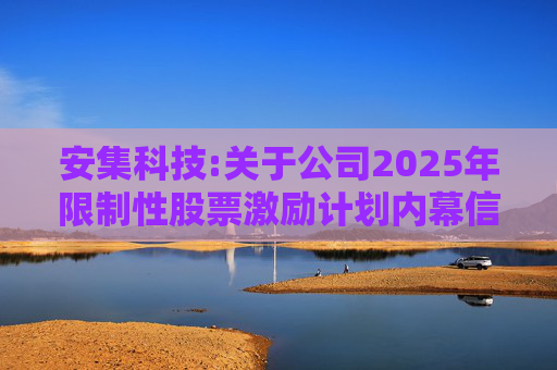 安集科技:关于公司2025年限制性股票激励计划内幕信息知情人买卖公司股票情况的自查报告