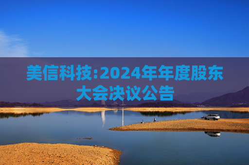 美信科技:2024年年度股东大会决议公告