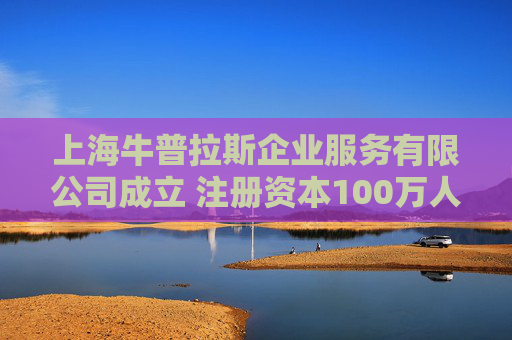上海牛普拉斯企业服务有限公司成立 注册资本100万人民币