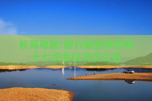 长高电新:第六届监事会第十七次会议决议公告