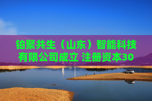 铂聚共生（山东）智能科技有限公司成立 注册资本300万人民币
