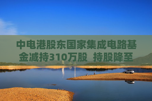 中电港股东国家集成电路基金减持310万股  持股降至9.9668%