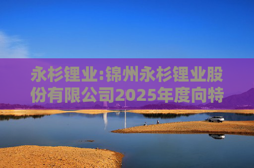 永杉锂业:锦州永杉锂业股份有限公司2025年度向特定对象发行A股股票方案论证分析报告