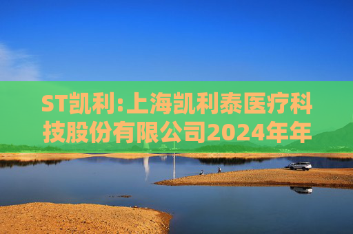ST凯利:上海凯利泰医疗科技股份有限公司2024年年度报告（更正后）  第1张