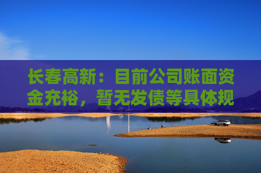 长春高新：目前公司账面资金充裕，暂无发债等具体规划