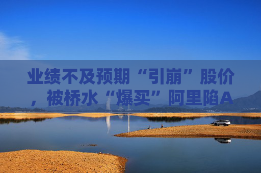 业绩不及预期“引崩”股价，被桥水“爆买”阿里陷AI叙事“阵痛”