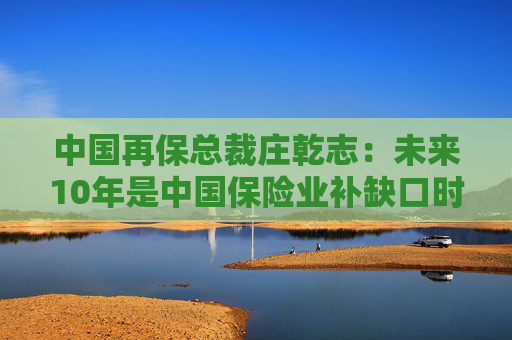 中国再保总裁庄乾志：未来10年是中国保险业补缺口时期  第1张