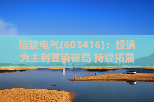 信捷电气(603416)：经销为主到直销破局 持续拓展第二成长曲线