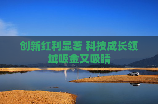 创新红利显著 科技成长领域吸金又吸睛