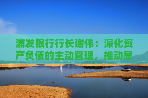 浦发银行行长谢伟：深化资产负债的主动管理，推动息差向均值靠拢靠近