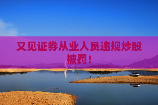 又见证券从业人员违规炒股被罚！