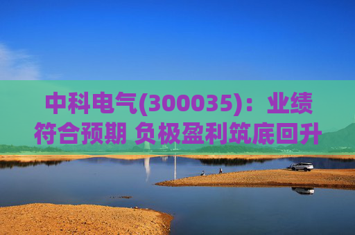 中科电气(300035)：业绩符合预期 负极盈利筑底回升