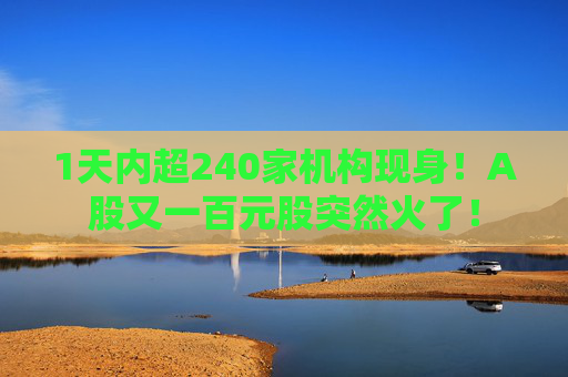 1天内超240家机构现身！A股又一百元股突然火了！