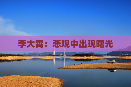 李大霄：悲观中出现曙光