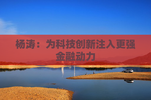 杨涛：为科技创新注入更强金融动力