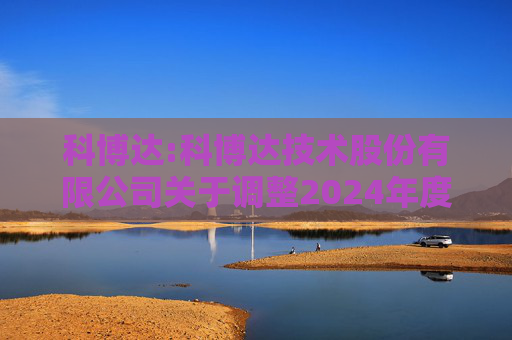 科博达:科博达技术股份有限公司关于调整2024年度利润分配总额公告的更正公告