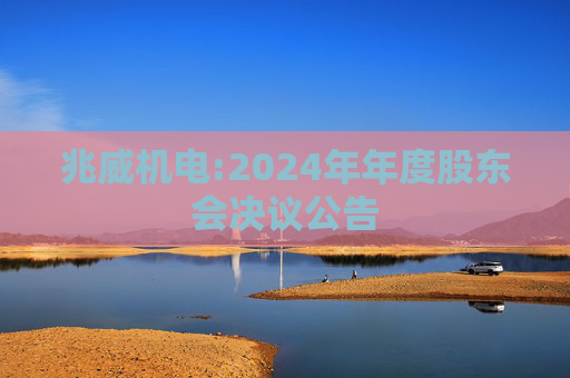 兆威机电:2024年年度股东会决议公告