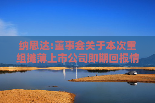 纳思达:董事会关于本次重组摊薄上市公司即期回报情况及相关填补措施的说明