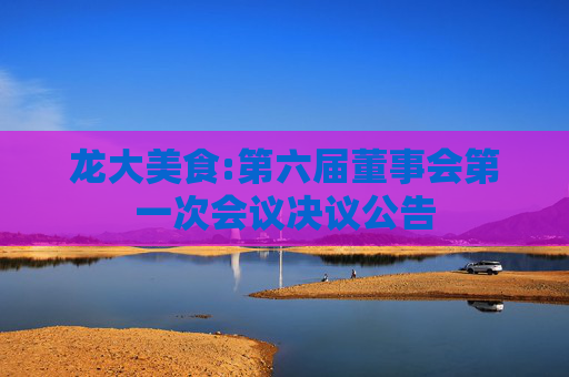 龙大美食:第六届董事会第一次会议决议公告