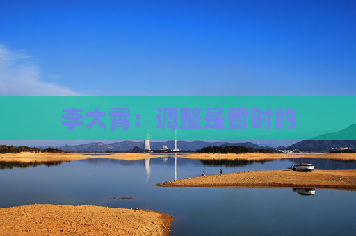 李大霄：调整是暂时的