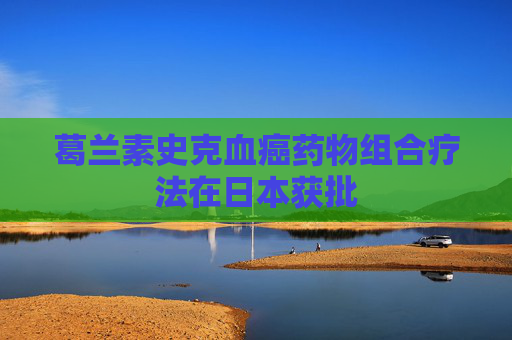 葛兰素史克血癌药物组合疗法在日本获批