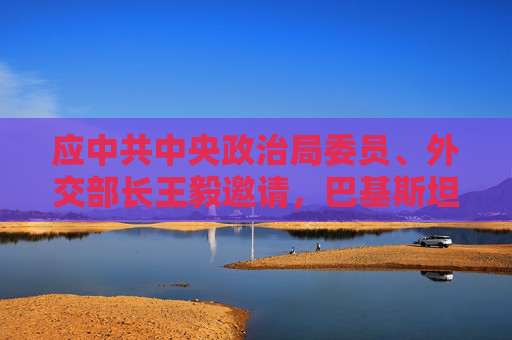 应中共中央政治局委员、外交部长王毅邀请，巴基斯坦副总理兼外长达尔将于5月19日至21日访华