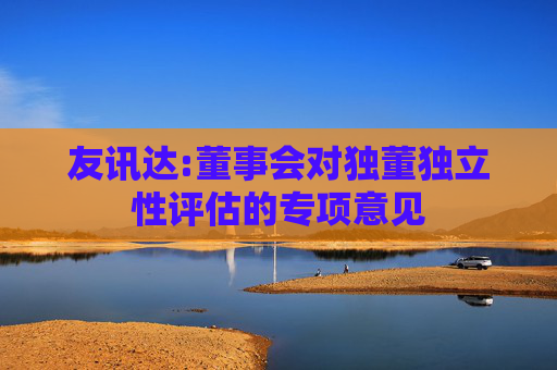 友讯达:董事会对独董独立性评估的专项意见  第1张
