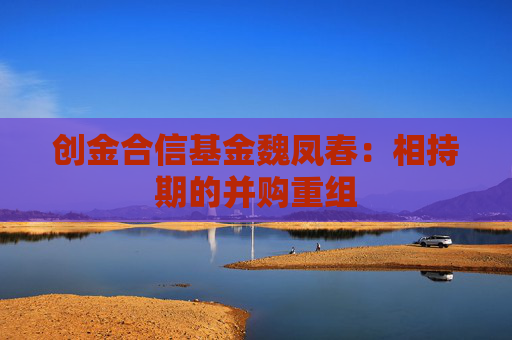 创金合信基金魏凤春：相持期的并购重组