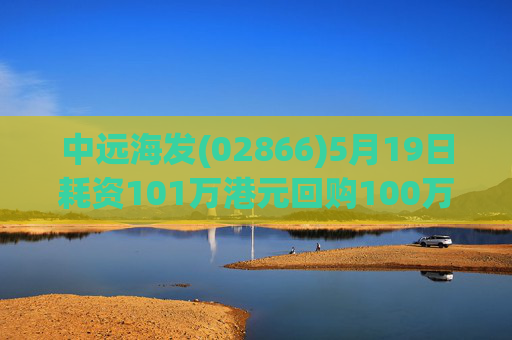中远海发(02866)5月19日耗资101万港元回购100万股