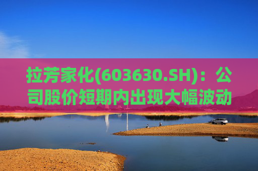 拉芳家化(603630.SH)：公司股价短期内出现大幅波动，存在短期内股价回调风险  第1张