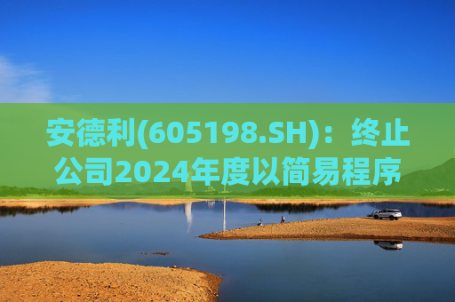 安德利(605198.SH)：终止公司2024年度以简易程序向特定对象发行A股股票事项  第1张