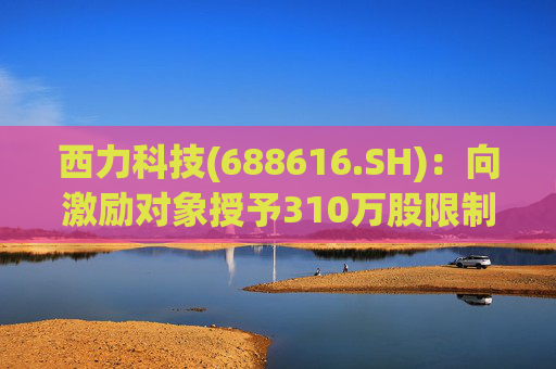 西力科技(688616.SH)：向激励对象授予310万股限制性股票