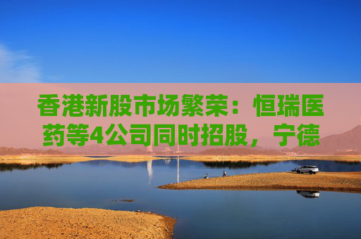 香港新股市场繁荣：恒瑞医药等4公司同时招股，宁德时代今日港交所上市