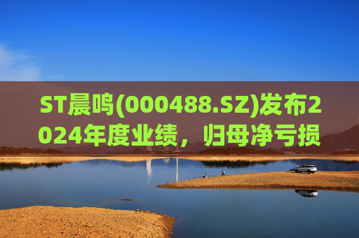 ST晨鸣(000488.SZ)发布2024年度业绩，归母净亏损74.11亿元  第1张