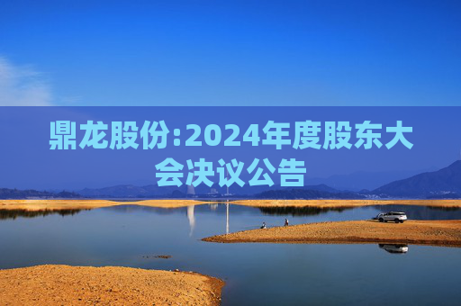 鼎龙股份:2024年度股东大会决议公告