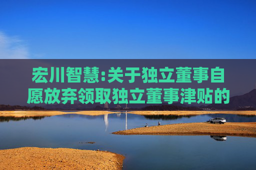宏川智慧:关于独立董事自愿放弃领取独立董事津贴的公告