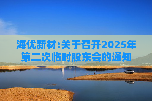 海优新材:关于召开2025年第二次临时股东会的通知