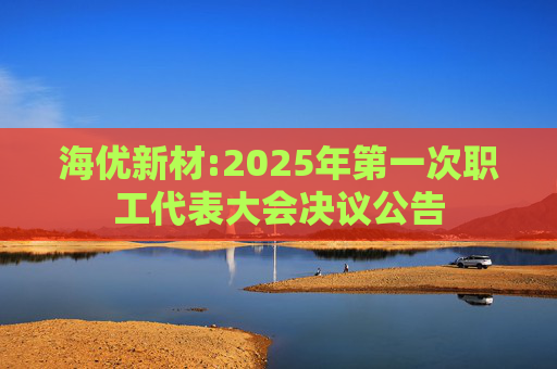 海优新材:2025年第一次职工代表大会决议公告
