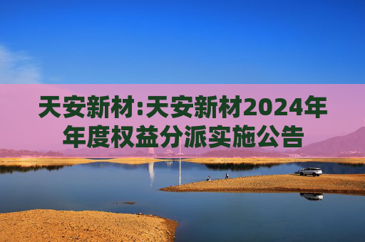 天安新材:天安新材2024年年度权益分派实施公告