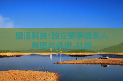 润泽科技:独立董事提名人声明与承诺-杜婕