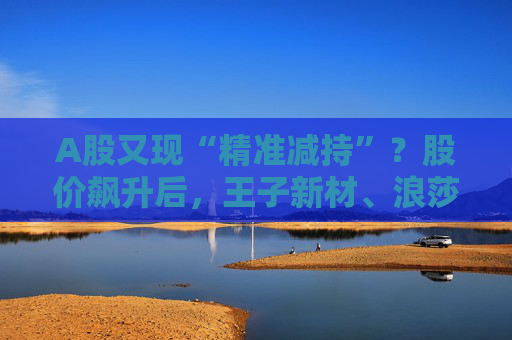 A股又现“精准减持”？股价飙升后，王子新材、浪莎股份股东忙“出逃”
