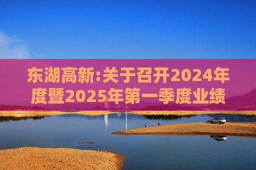 东湖高新:关于召开2024年度暨2025年第一季度业绩暨现金分红说明会的公告