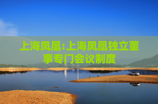 上海凤凰:上海凤凰独立董事专门会议制度