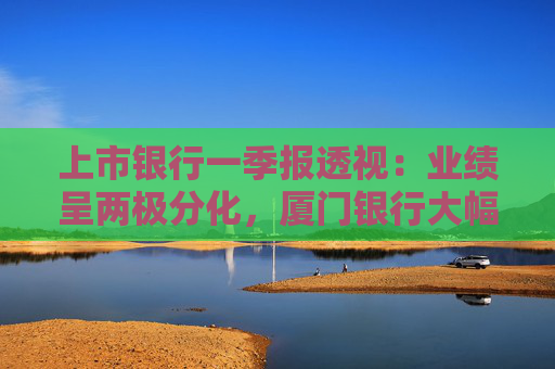 上市银行一季报透视：业绩呈两极分化，厦门银行大幅调降拨备仍营利两位数下滑